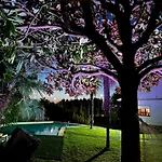 Chalet paxariñas