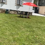 O Lar De Silva