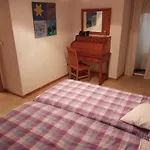 Apartamento A Peregrina