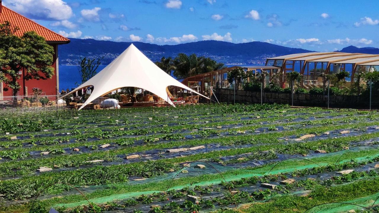 Augusta Eco Wellness 4*