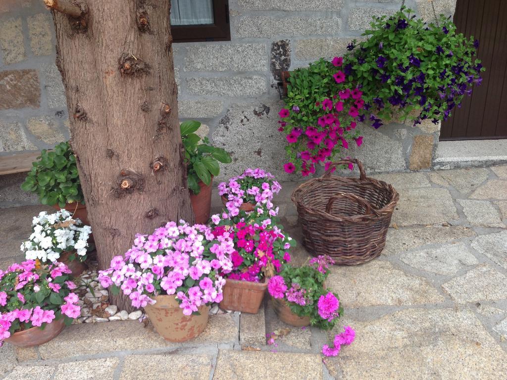 Casa O Fabal Casa rural