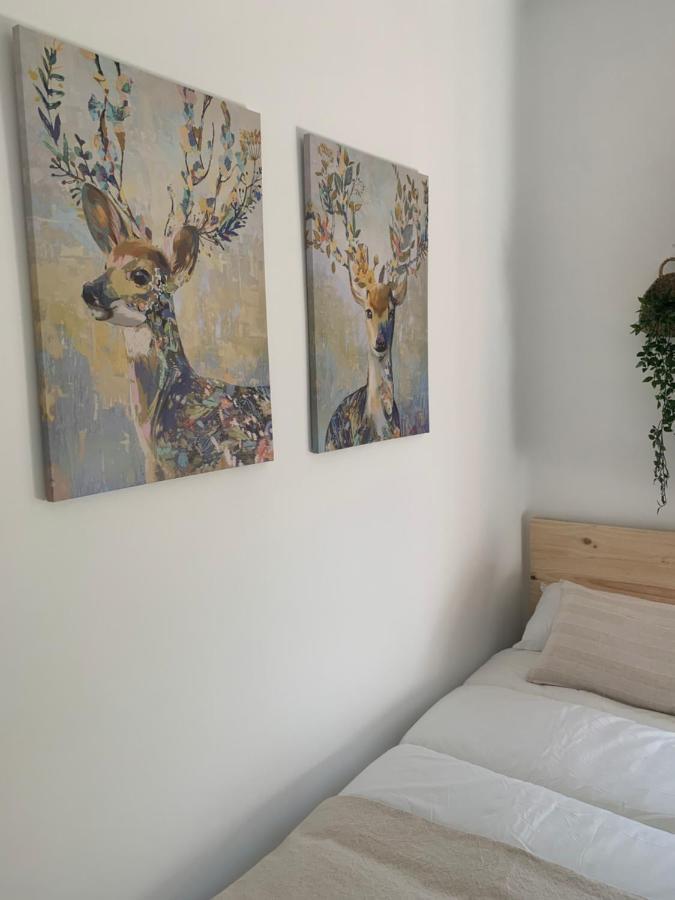 Apartamento Terraza