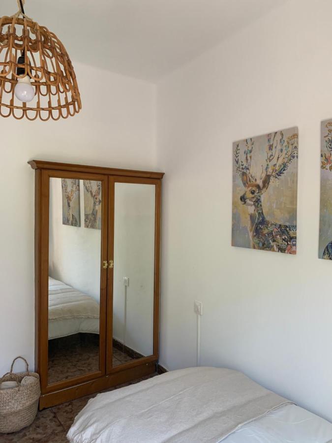 Apartamento Terraza Apartamento