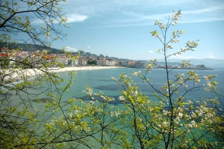 Apartamento Apartamento Sanxenxo Carles DeLuxe Ocean View Sanxenxo
