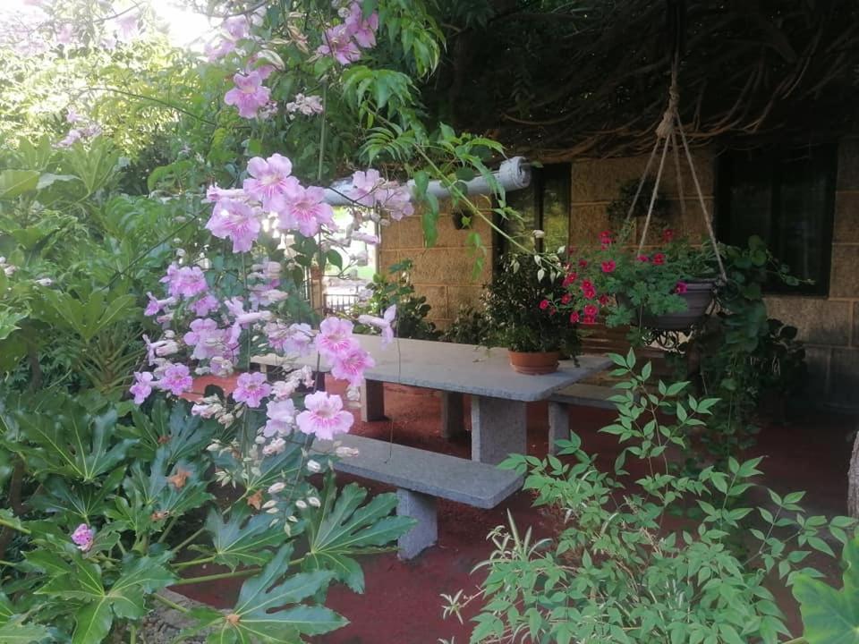 A Casa Da Ponte Сasa de vacaciones *