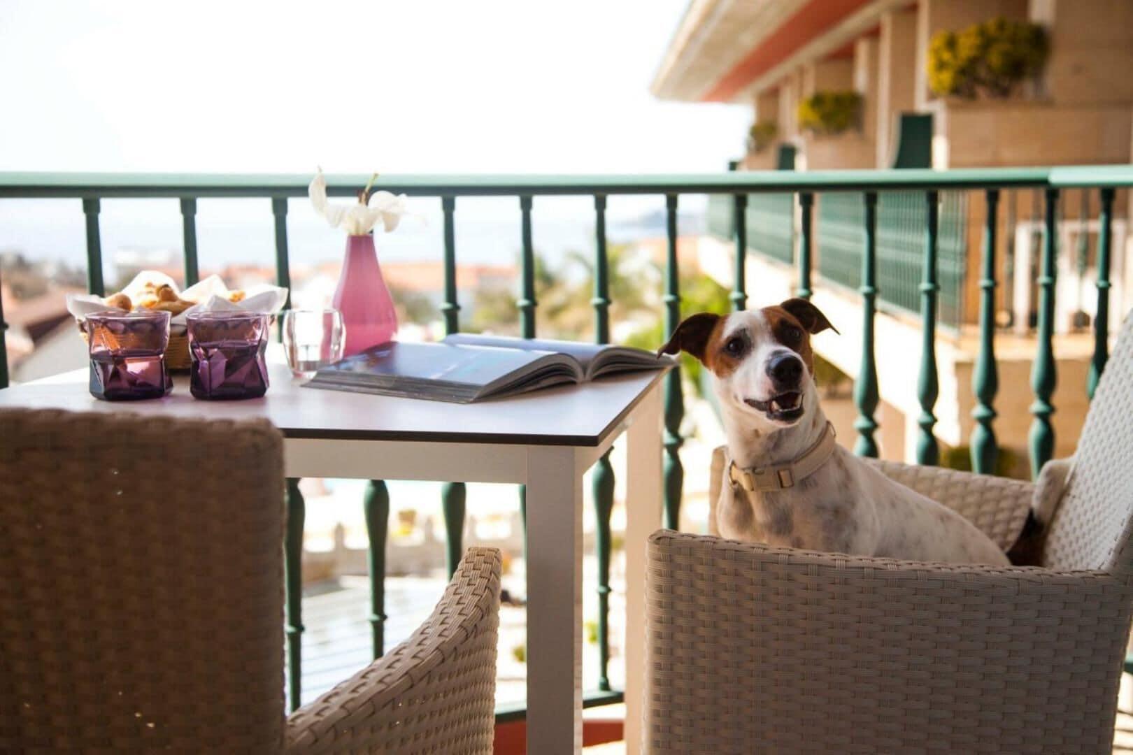 Augusta Eco Wellness Hotel 4*