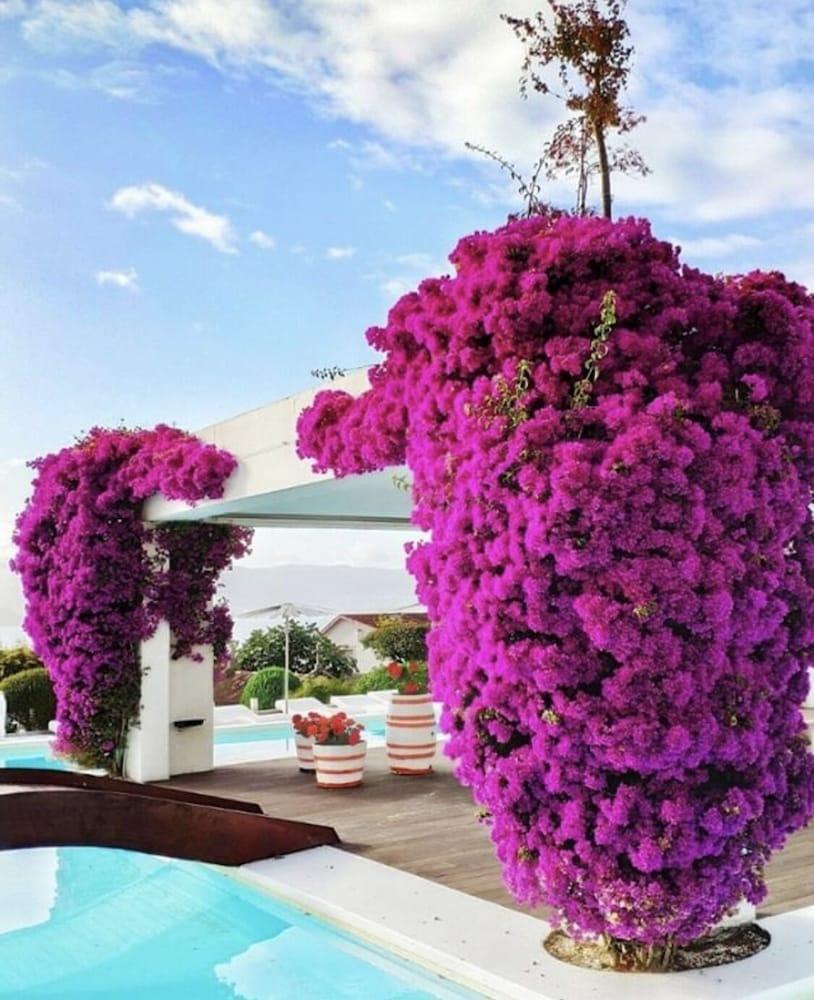 Augusta Eco Wellness 4*