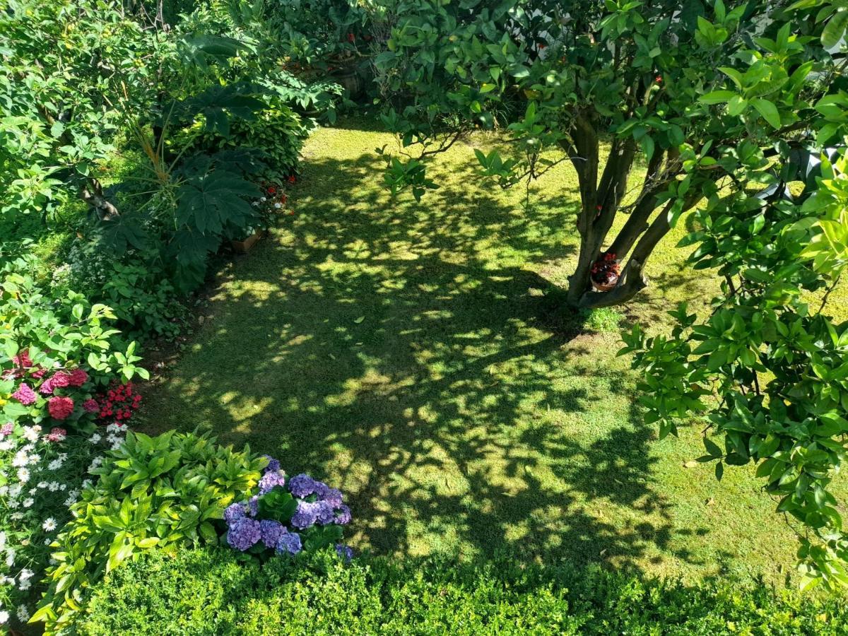 Apartamento Casa Con Jardín A 200 Metros Playa De Areas En Sanxenxo