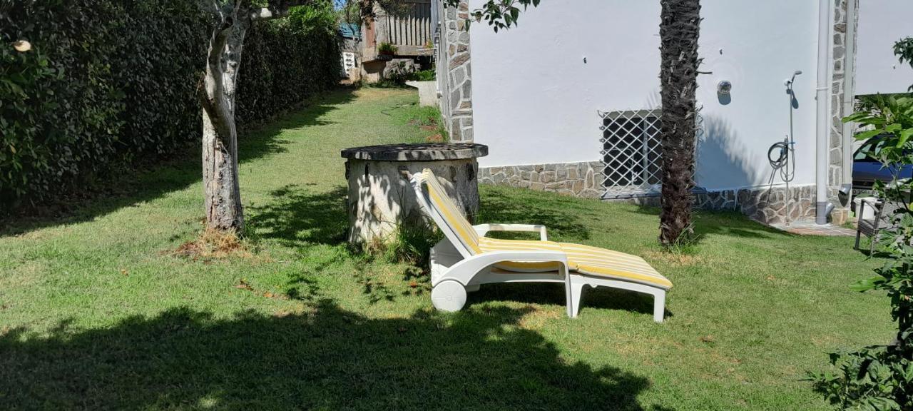La Cruz Del Sur - 
