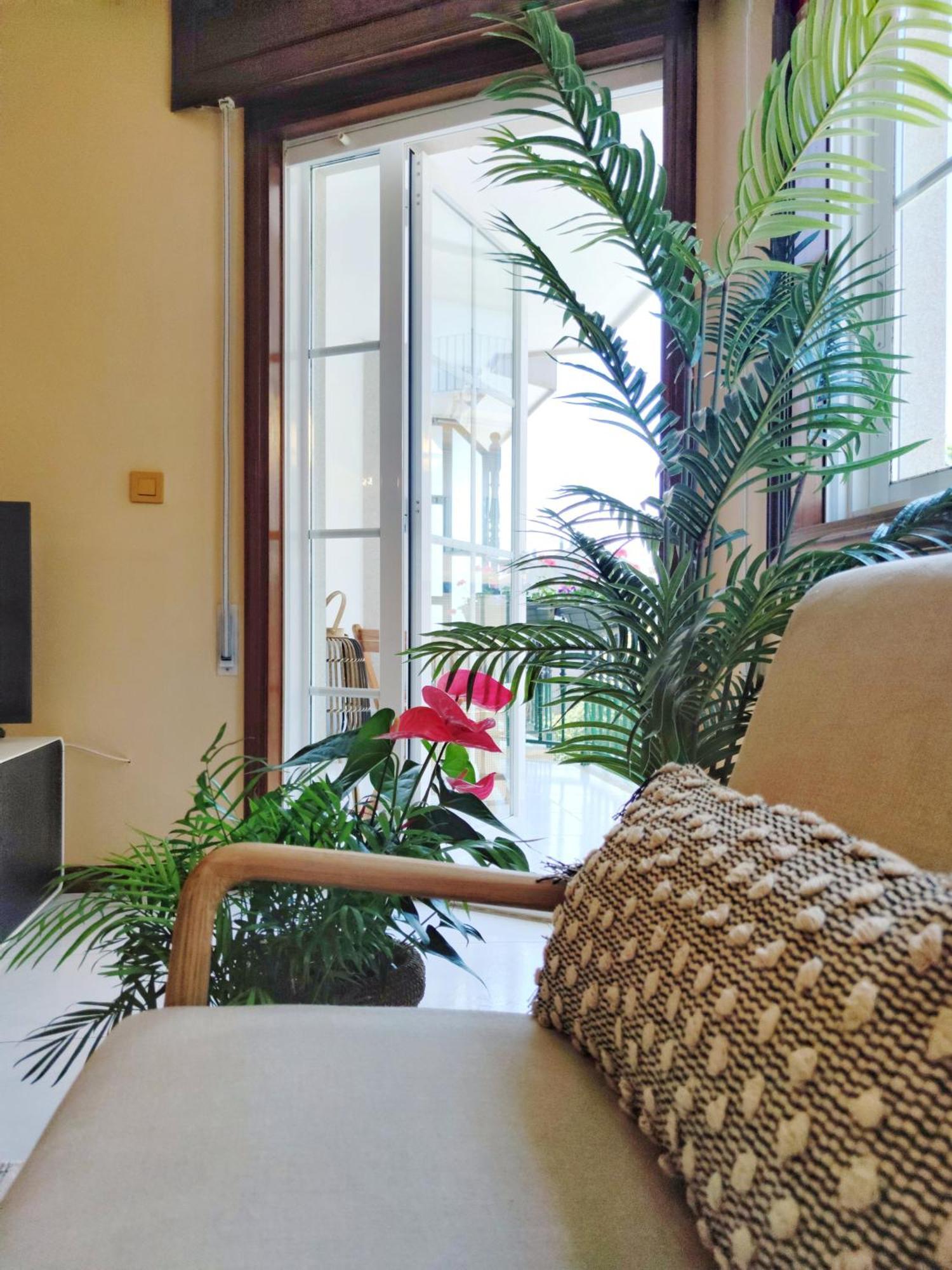 Apartment Desconectaengalicia Rosalia, 100m Playa Silgar Sanxenxo
