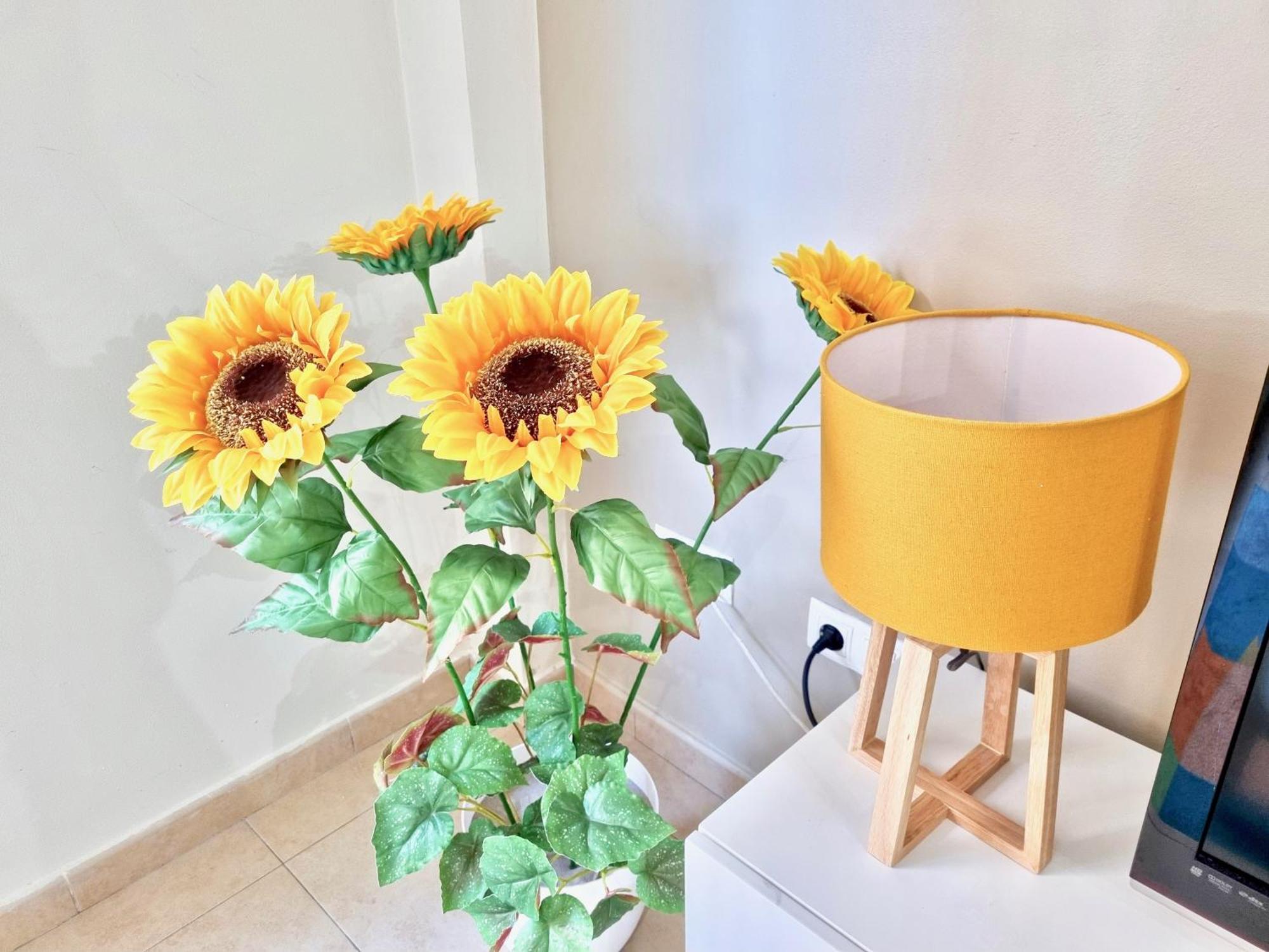 Apartamento En La Playa! * Sanxenxo