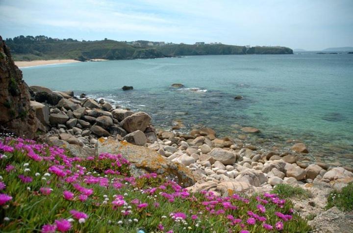 Sanxenxorural - La Rana Sanxenxo