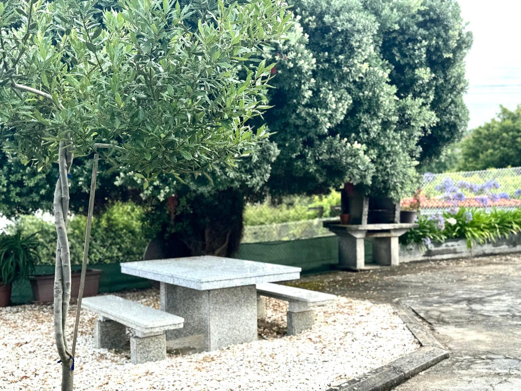 Aires De Lavanda * Sanxenxo