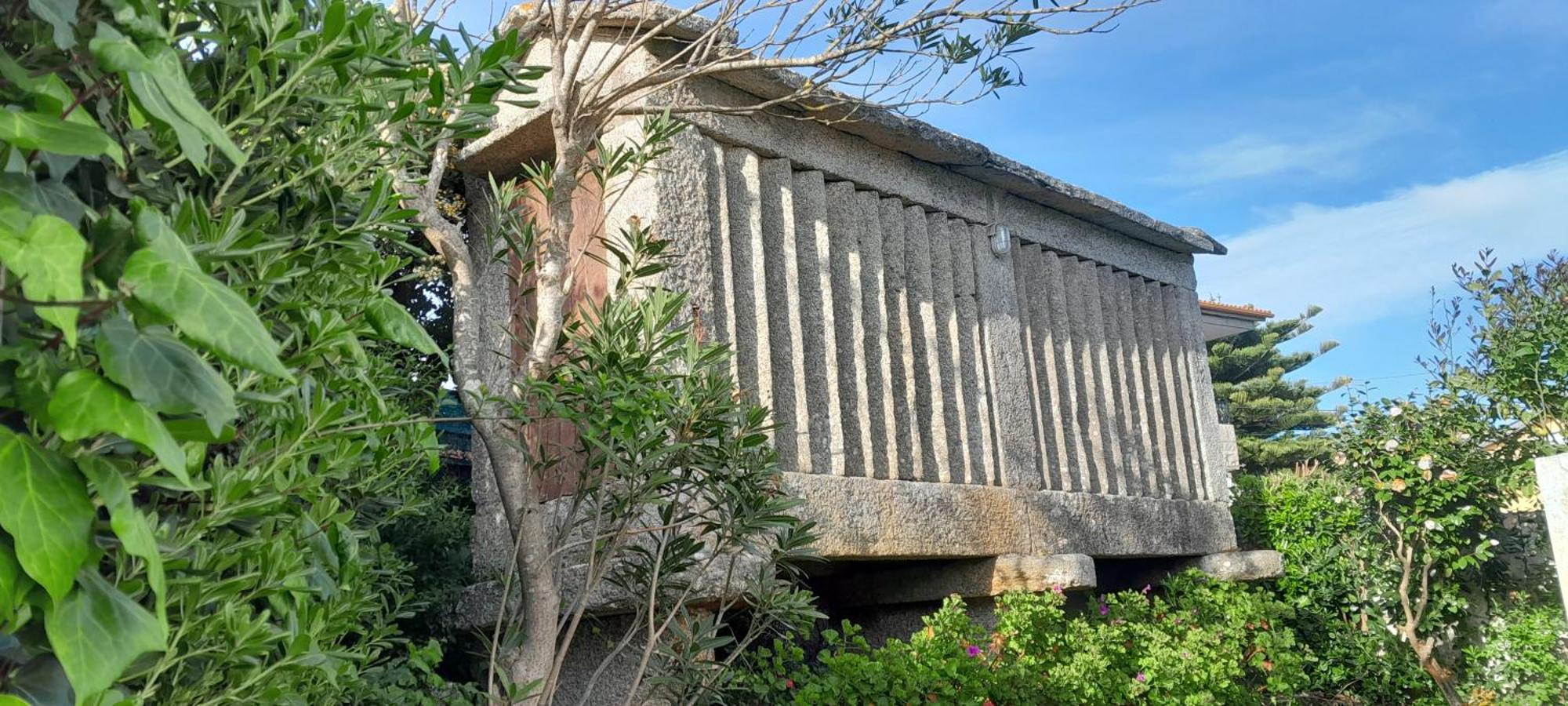 La Cruz Del Sur - 