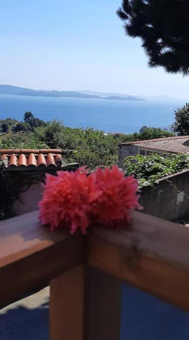 Сasa de vacaciones La Casita *
