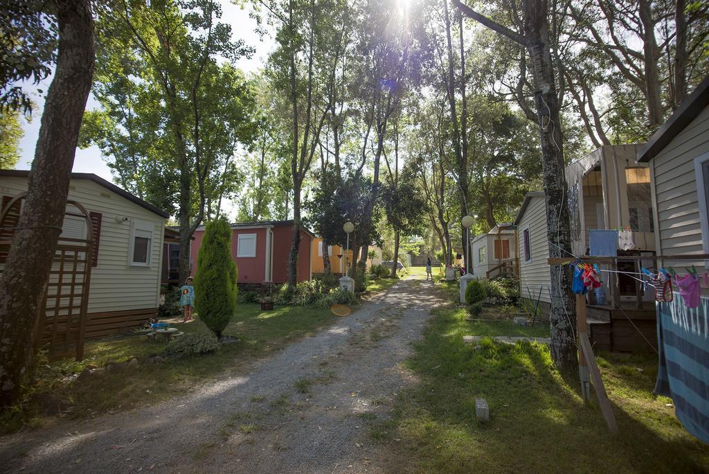 Camping Cachadelos