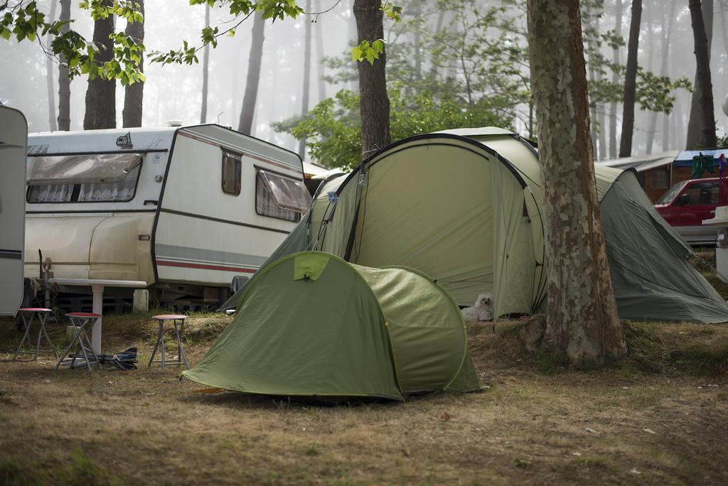 Camping Cachadelos Camping