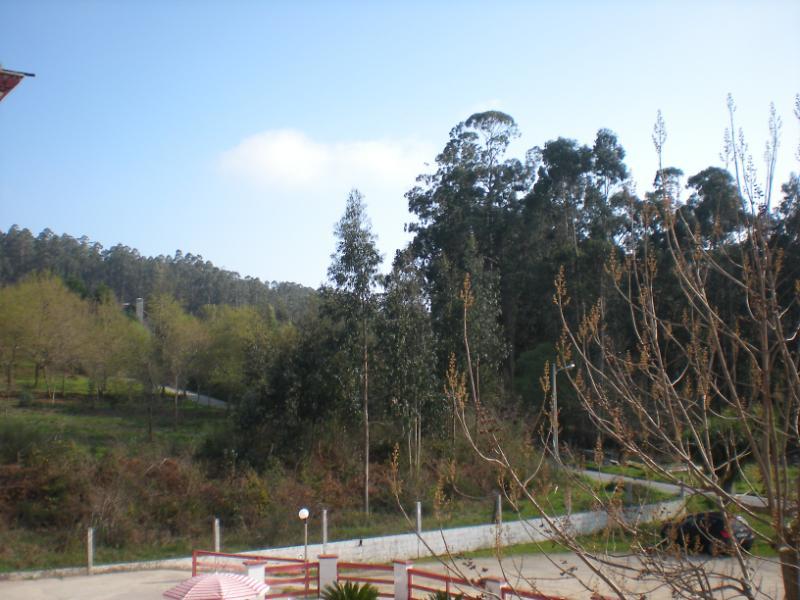 Chamuiñas