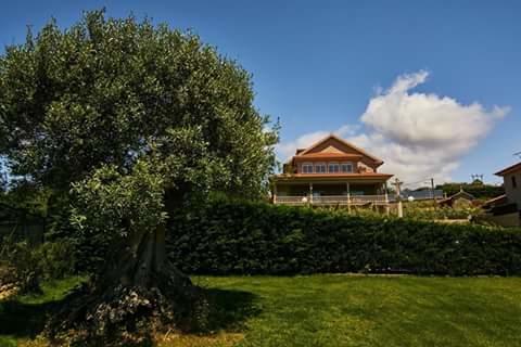 Casa Zulema Hotel